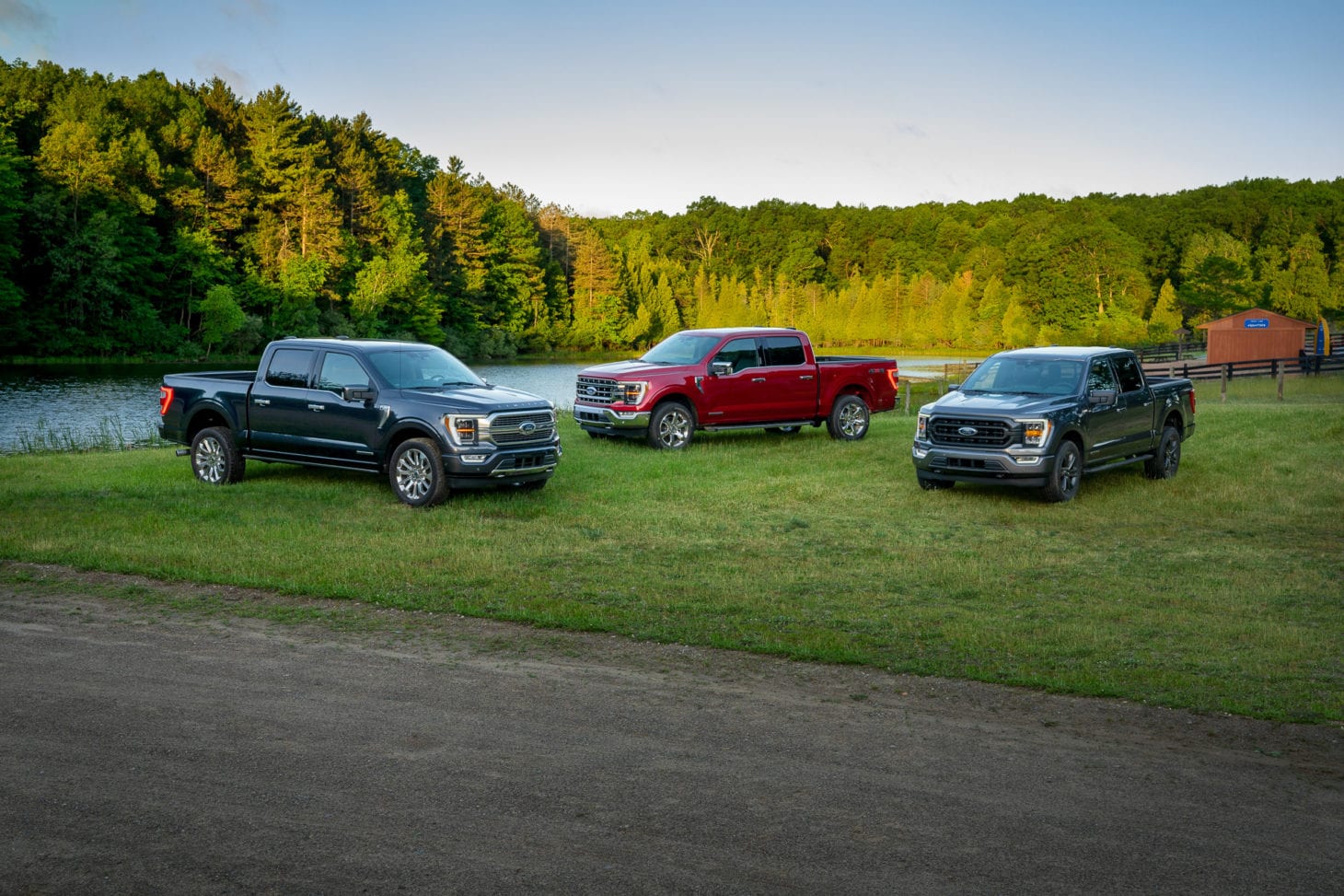 Group of Ford pickup trucks