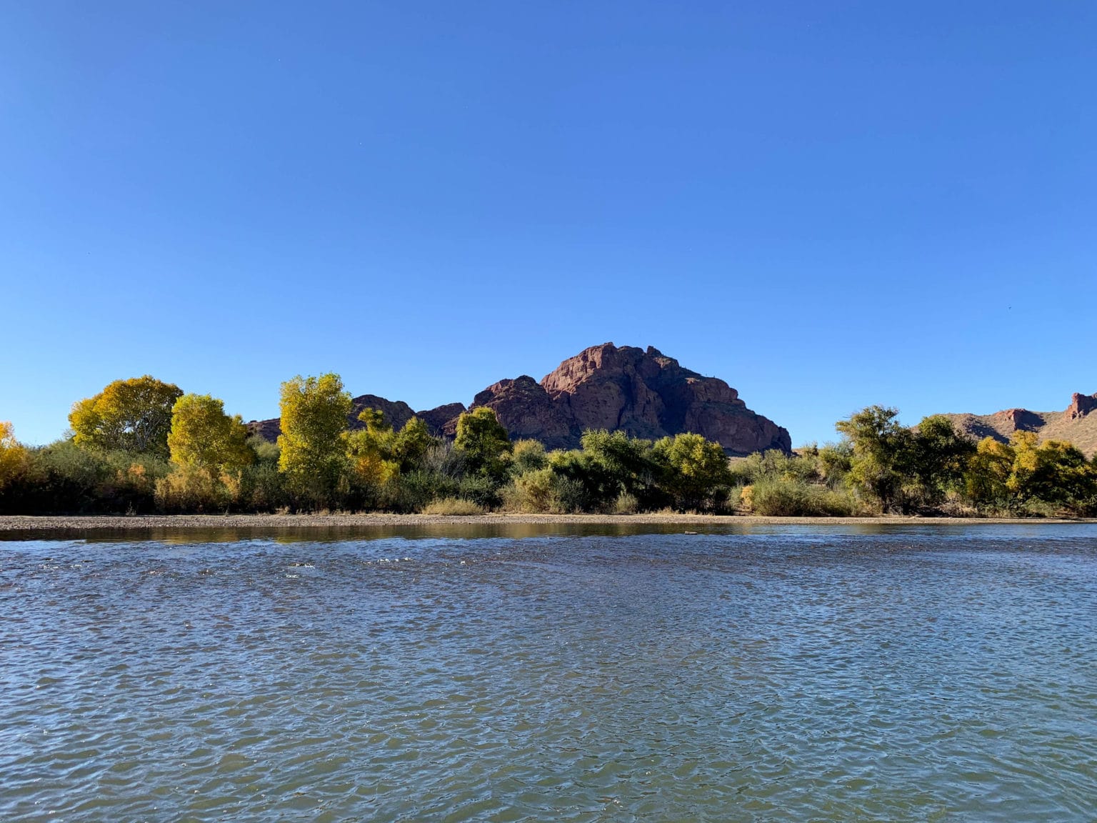 Horses, kayaks, and cacti on Phoenix’s Lower Salt River