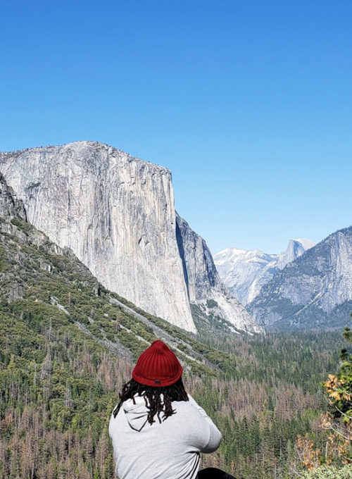 Two city girls, a national park road trip, and a sequoia treasure