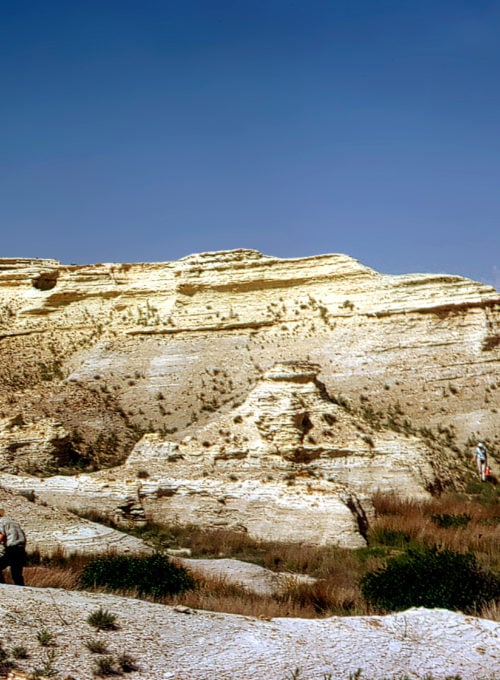 Kansas is a fossil hunter's paradise—here's how and where to explore it