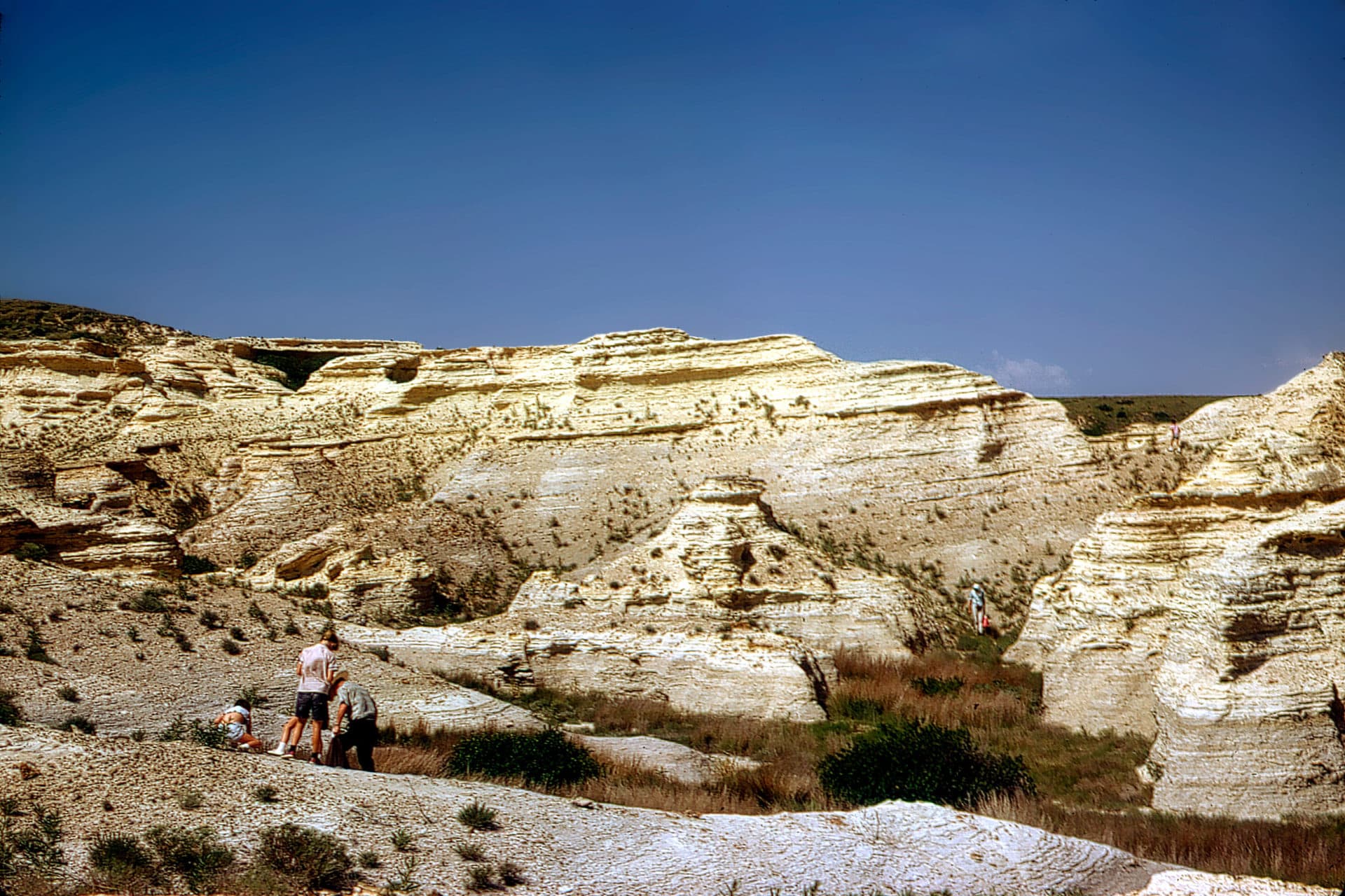 Kansas is a fossil hunter's paradise—here's how and where to explore it -  Roadtrippers