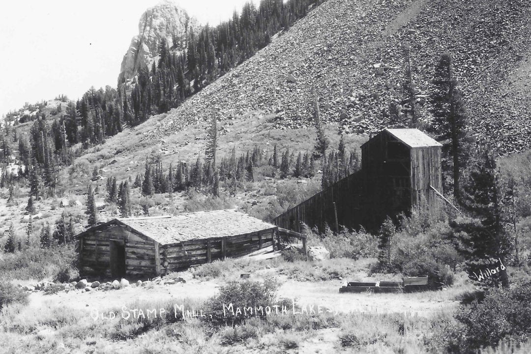 A black and white historical photo of the old stamp mill and a hillshide of pine trees