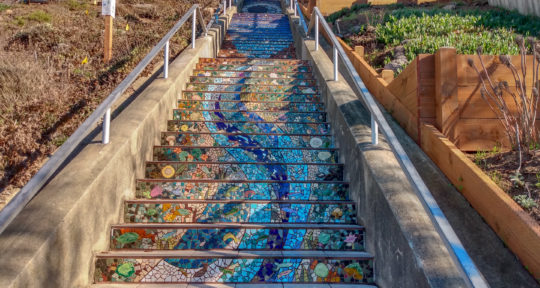 San Francisco’s mosaic staircases turn forgotten places into colorful art