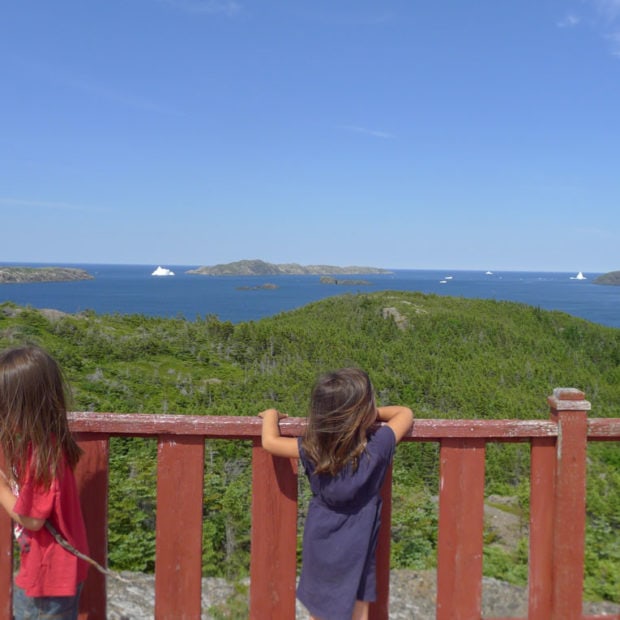 A Newfoundland road trip with three small kids and plenty of adventure