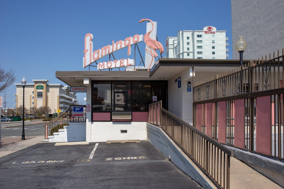 the entrance to the flamingo motel with a pale pink neon sign featuring a flamingo
