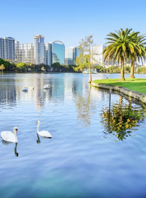 12 things to do in Orlando (that aren't a theme park)