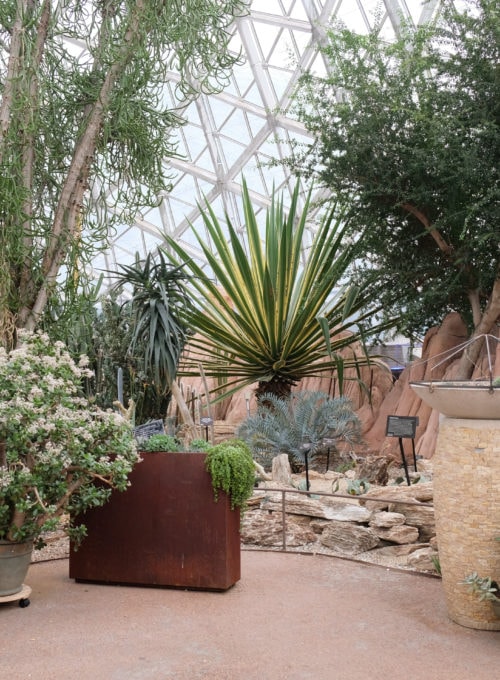 A warm oasis: Milwaukee's Domes recreate ecosystems from around the globe
