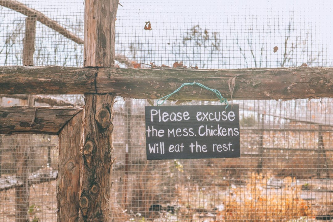 a sign hangs on a chicken coop that says "please excuse the mess. chickens will eat the rest."