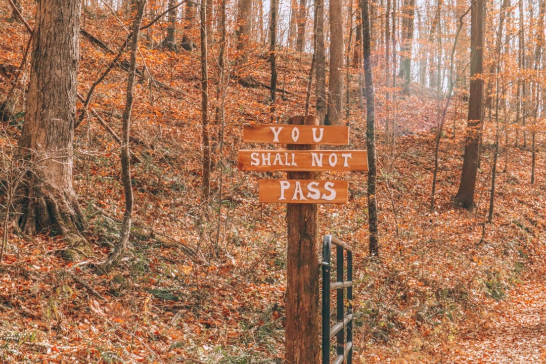 a wooden sign in the woods says "you shall not pass"