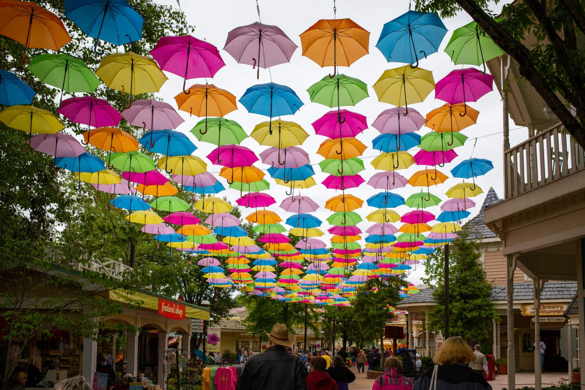 an art installation featuring dozens of colorful umbrellas suspended above the main street at dollywood