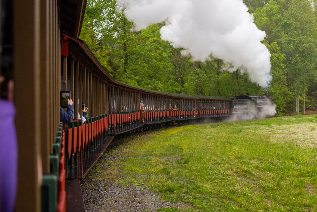 a coal-burning train travels through the woods