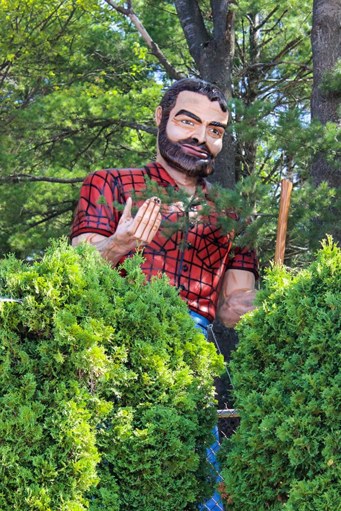 a muffler man peeks out from behind bushes wearing a black and red plaid shit