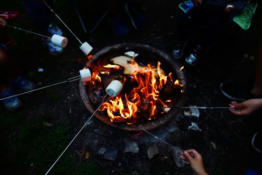 roasting marshmallows over a campfirre