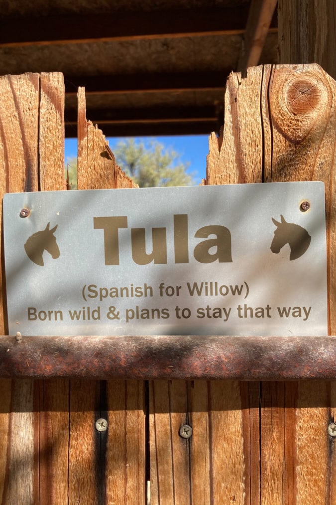 a metal sign on a wooden fence with silhouettes of donkeys that reads "tula (spanish for willow) born wild and plans to stay that way"