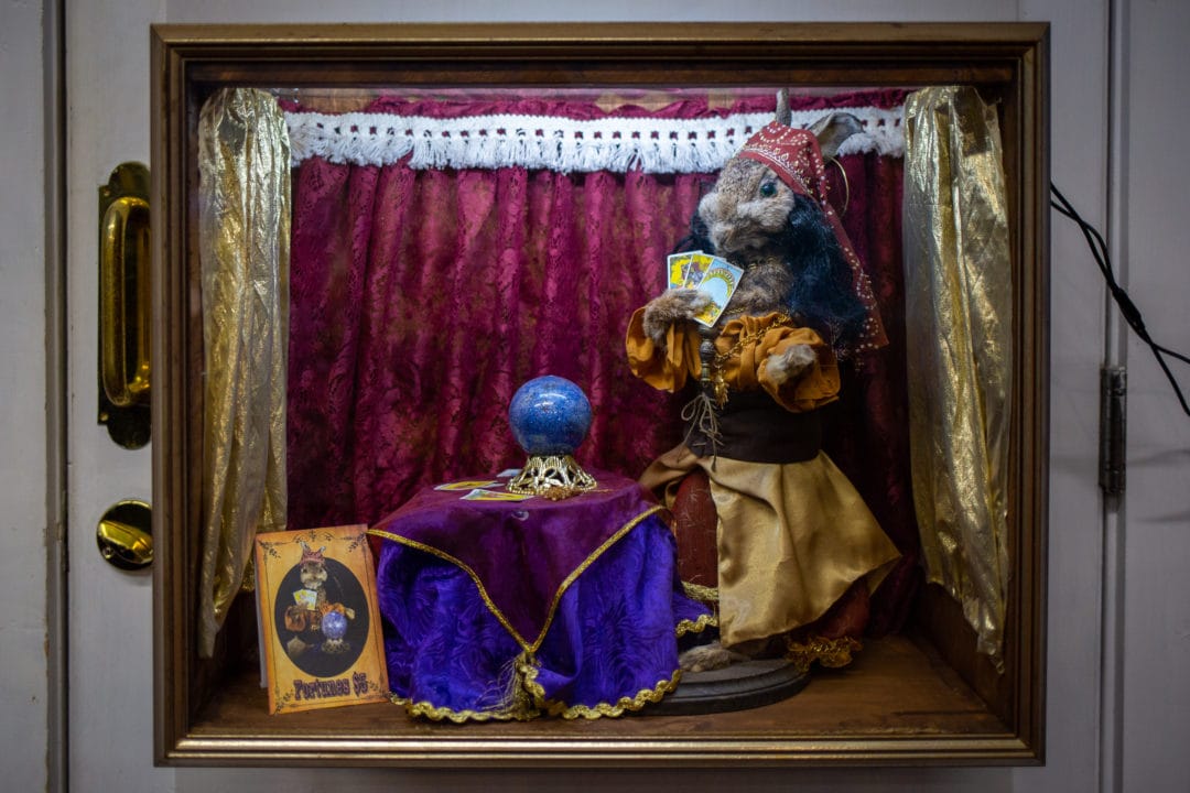 A taxidermy rabbit is dressed like a fortune teller and stands near a table with a crystal ball