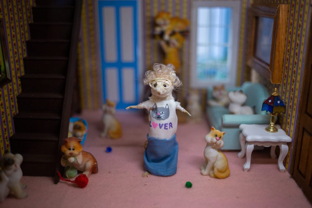 A taxidermy mouse wears a "cat lover" shirt in a room surrounded by cats