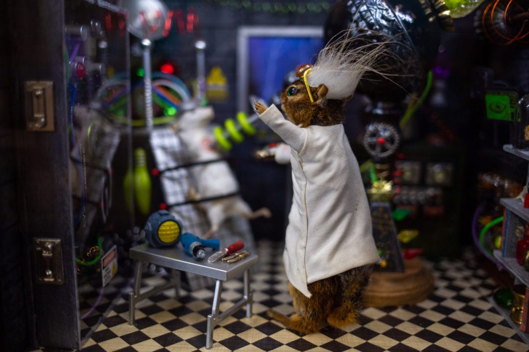 A mad scientist squirrel surrounded by lab equipment