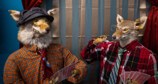 The couple behind Michigan’s Wacky Taxidermy and Miniatures Museum wants to keep Mackinaw City weird