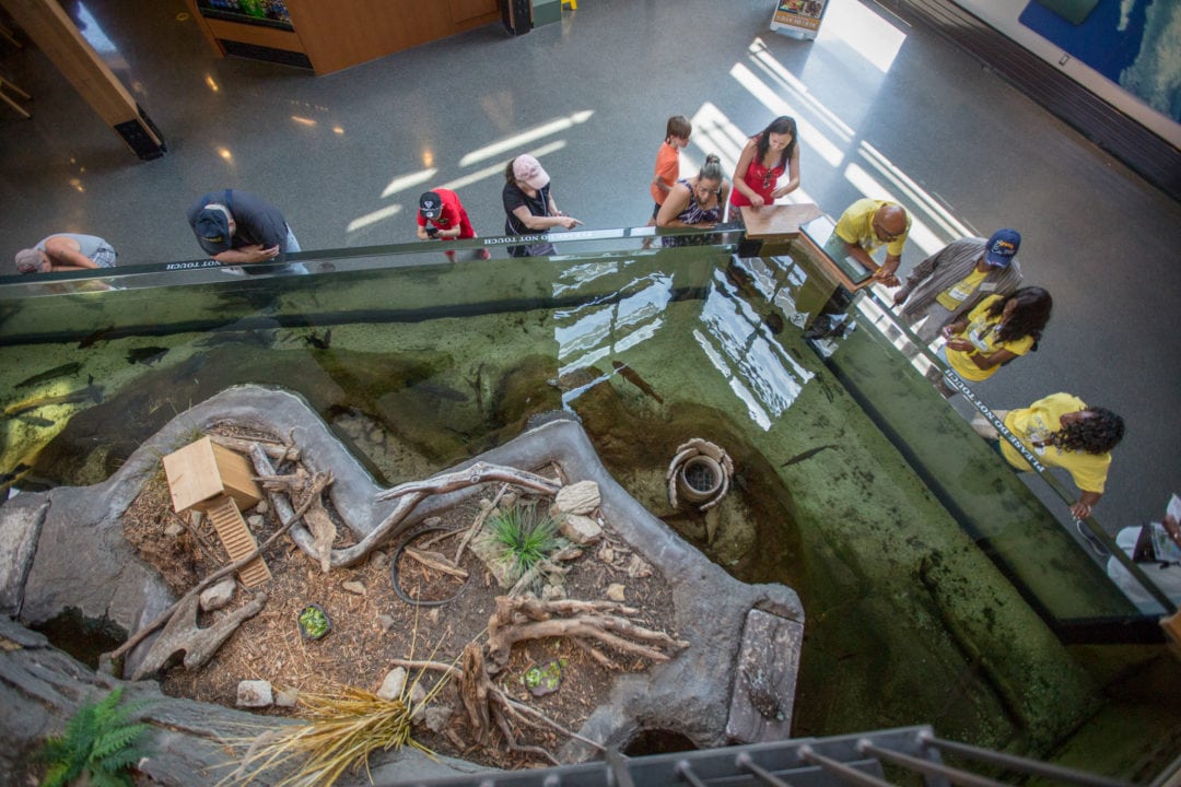 an overhead shot of a pool surrounded by museum goers