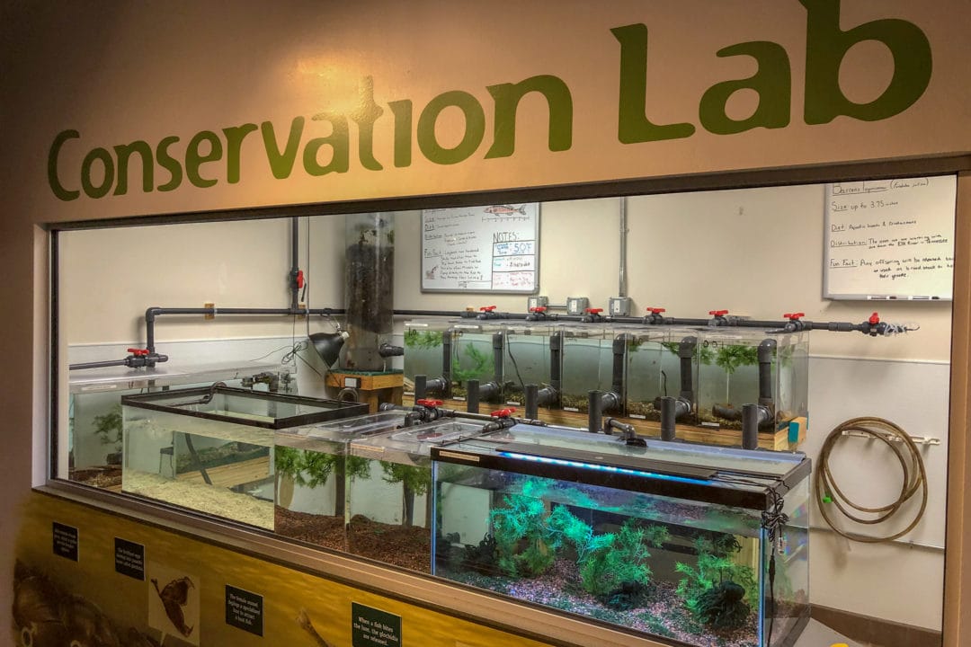 glass tanks behind an observation window under green letters that spell out "conservation lab"
