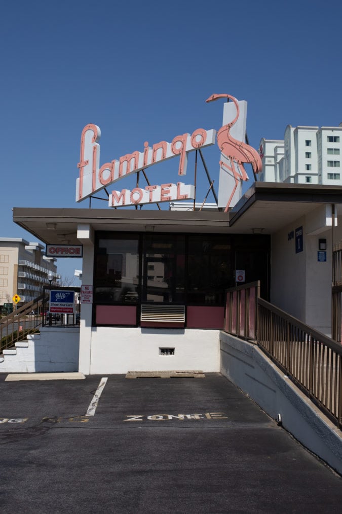 Flamingo Motel neon sign
