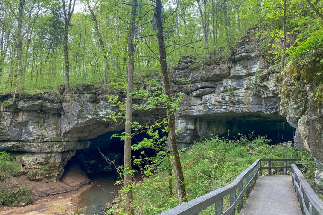 A rock cave with a wooden walkway surrounded by greenery