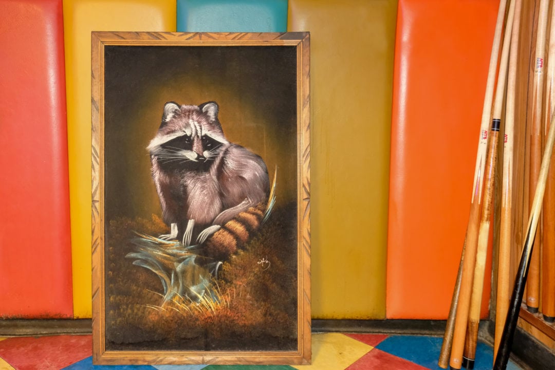 Velvet raccoon painting set on a colorful back drop near pool cues