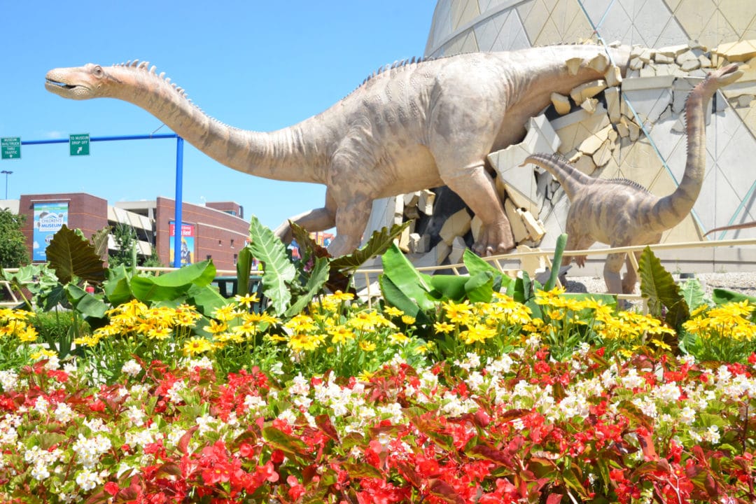 Two dinosaurs emerge from the exterior of the Children's Museum of Indianapolis.