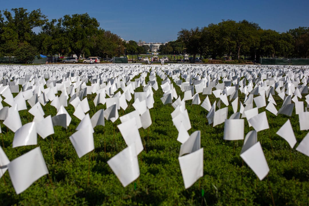 a sea of white flags in front of the white house