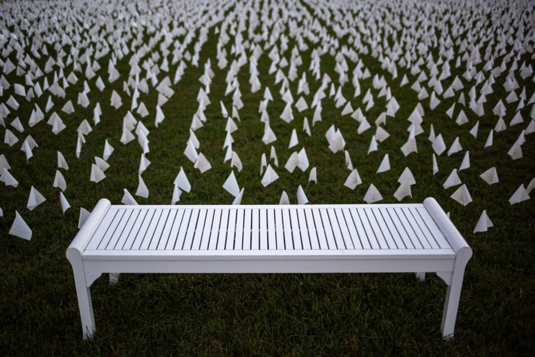 a white bench in front a lawn of white flags