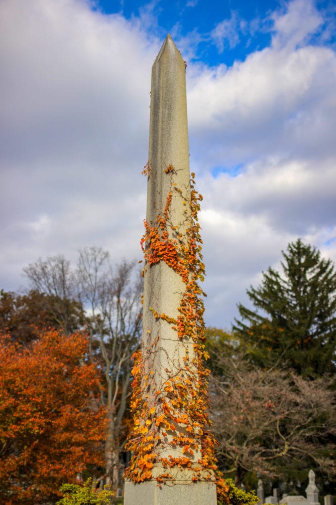 a granite obelisk in a cemetery covered with a red vine