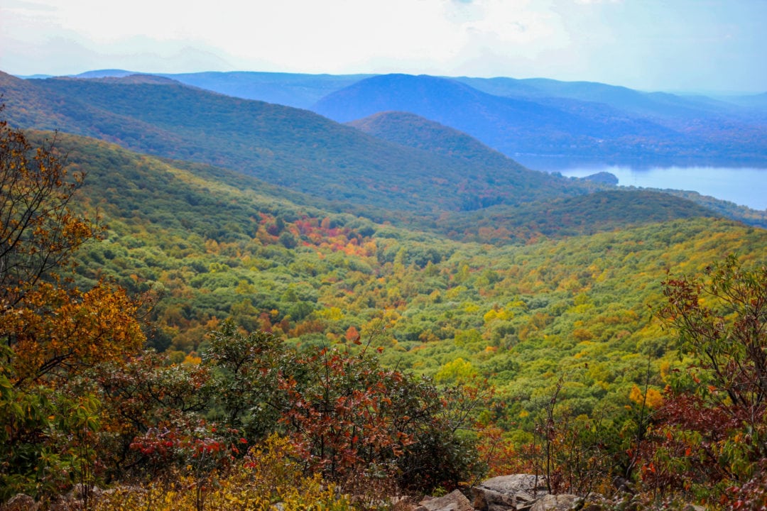  a sweeping view of a wooded valley with trees in various states of color change