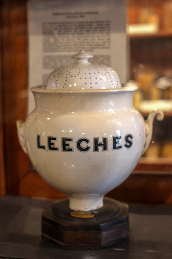 a ceramic jar of leeches
