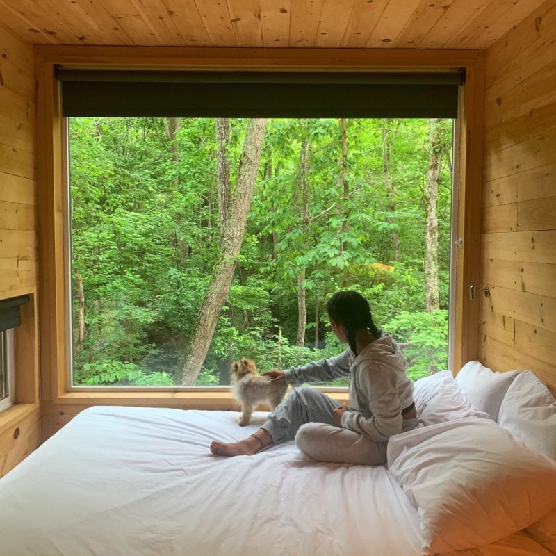 A woman and a dog sitting on a bed in a tiny house looking out at a forest 