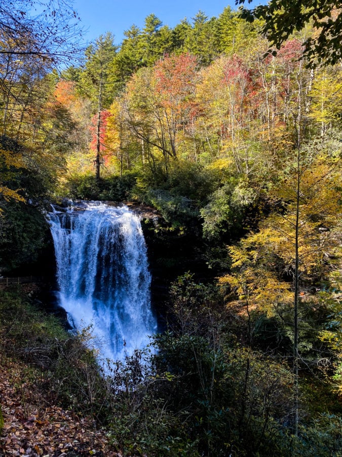 View of waterfall amongst leaves changing color for fall