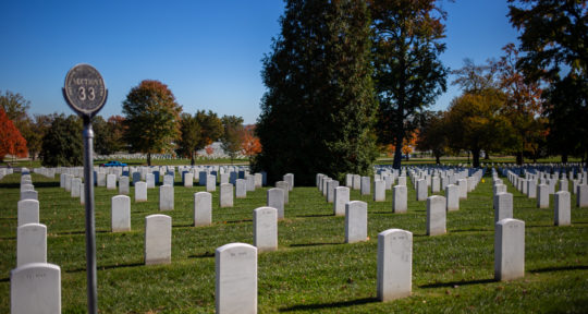 Arlington National Cemetery commemorates 100 years of the Tomb of the Unknown Soldier