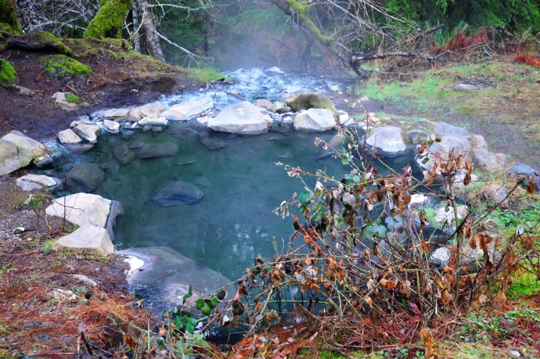 A hot spring in the winter at Olympic National Park.