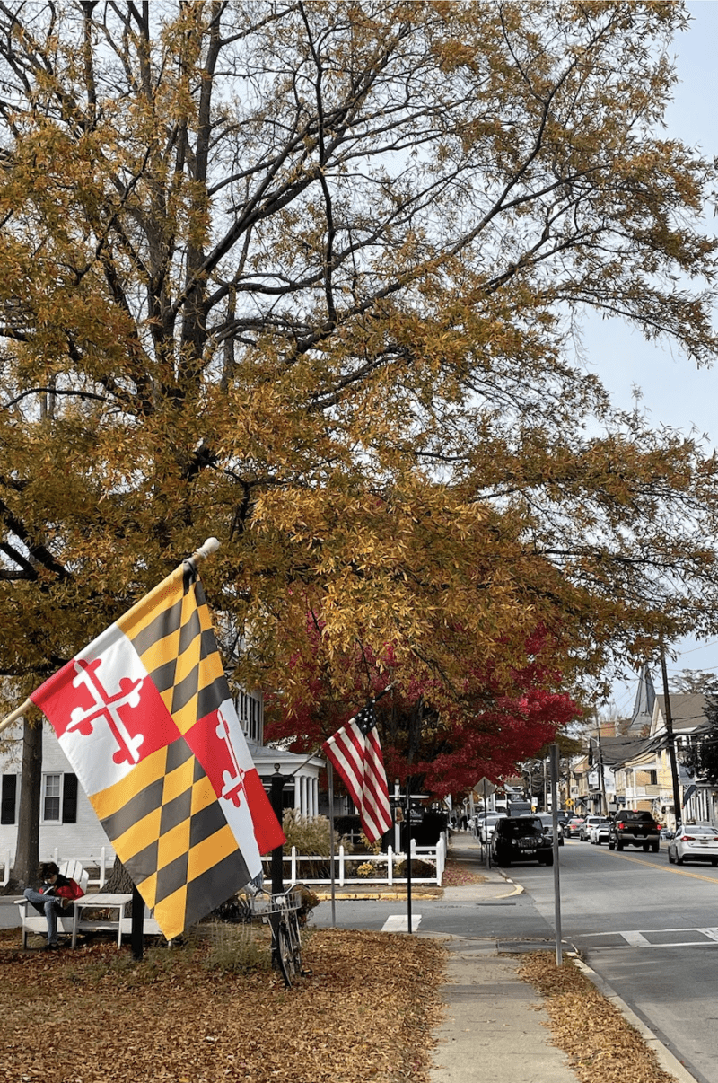 Street in St. Michaels with Maryland flags hanging along the side