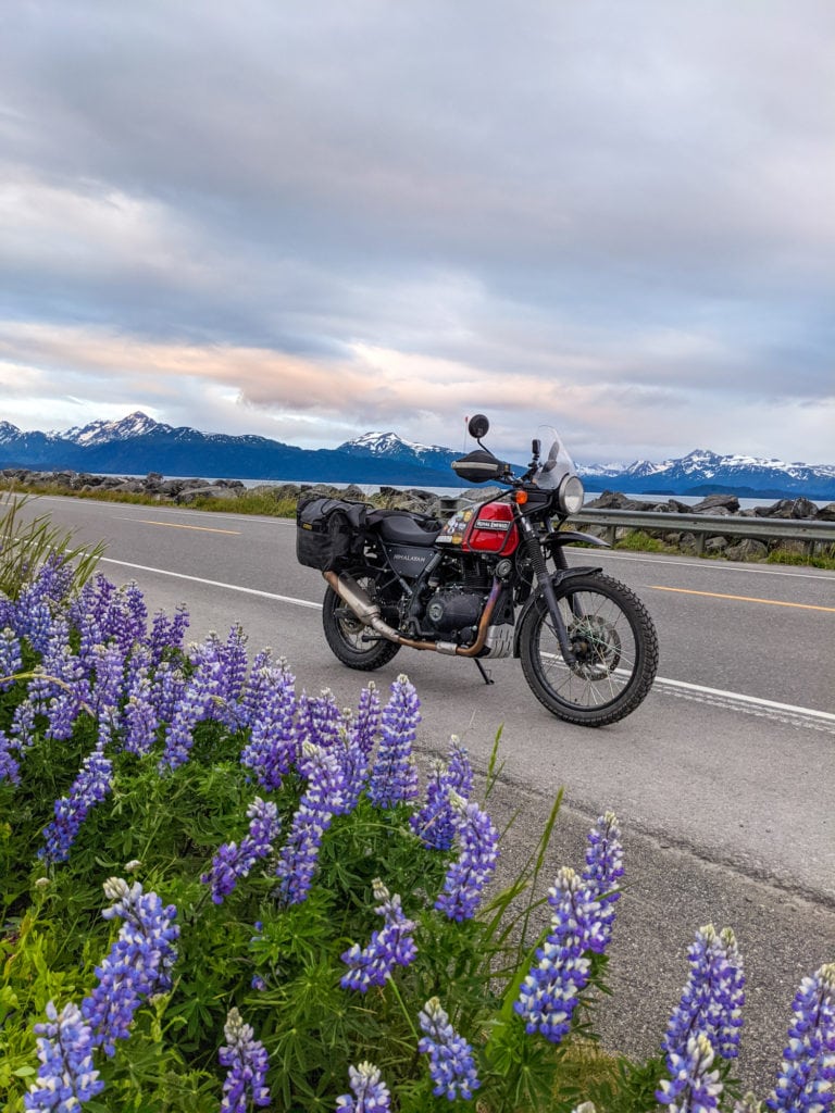 A motorcycle with purple flowers in the foreground