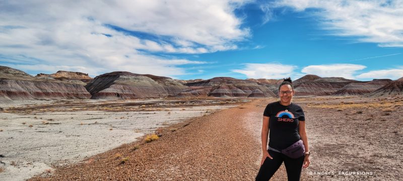 Woman standing in Petrified Forest National Park