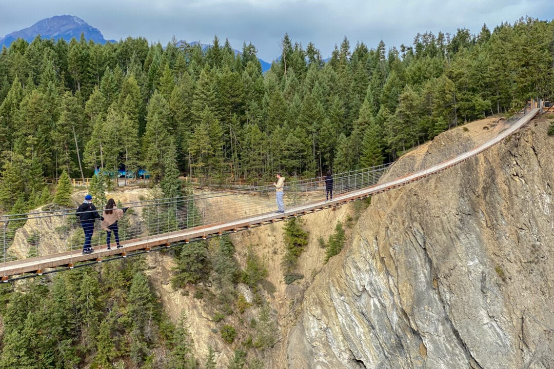 people walk on a suspension bridge strung across a rocky valley with pine trees and blue skies