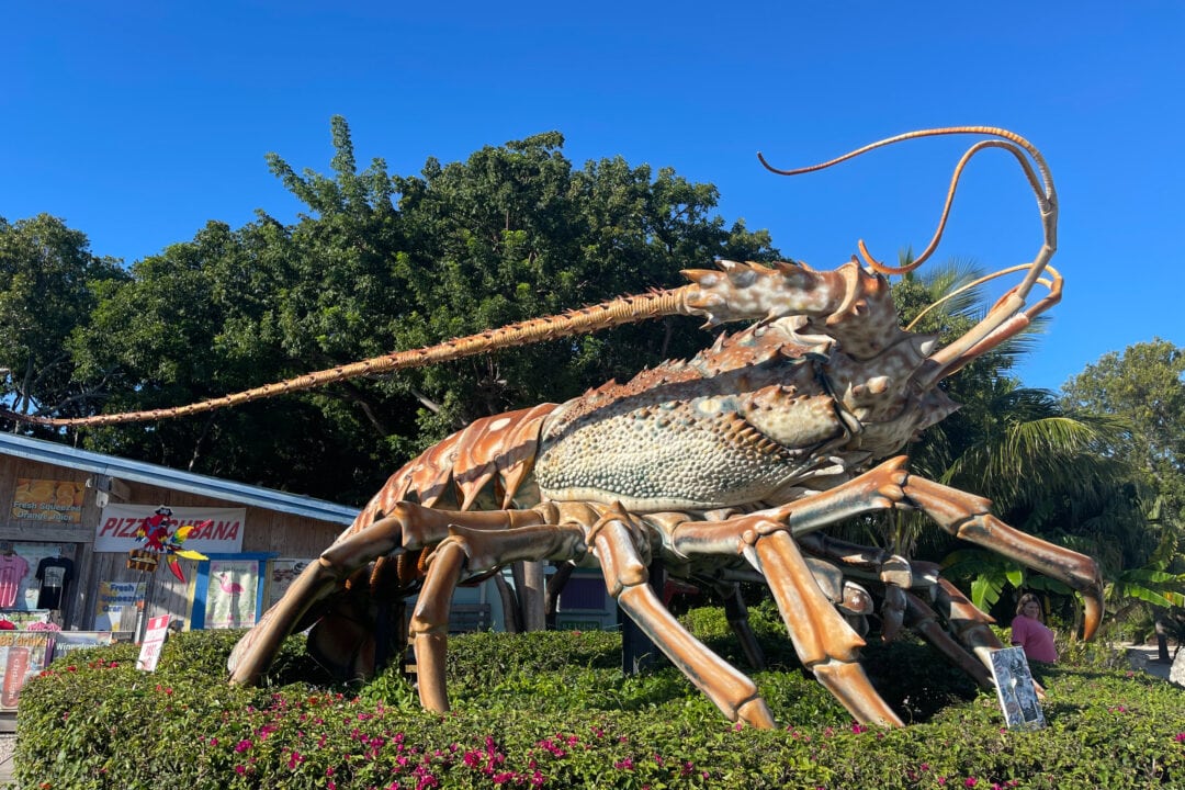 a 30-foot lobster sculpture outside of a shop set against the blue sky