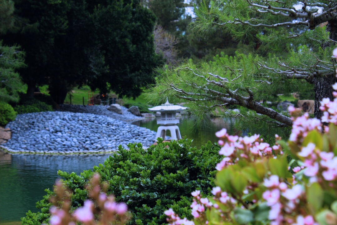 a garden with pink flowers, blue rocks, water, and sculptures