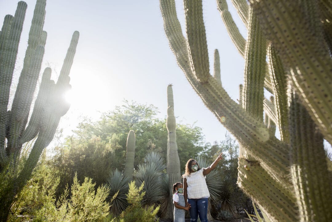 Woman and child walking in the Desert Botanical Garden in Phoenix