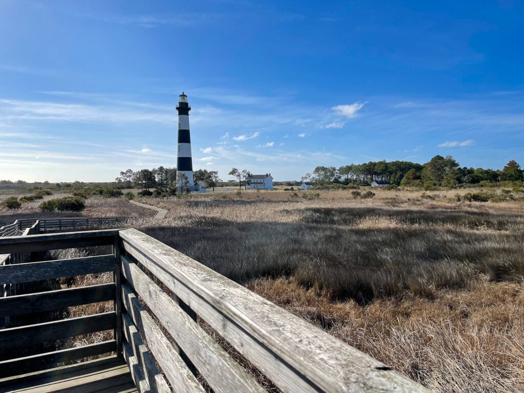 Chasing wildlife: A winter exploration along the Outer Banks Scenic ...