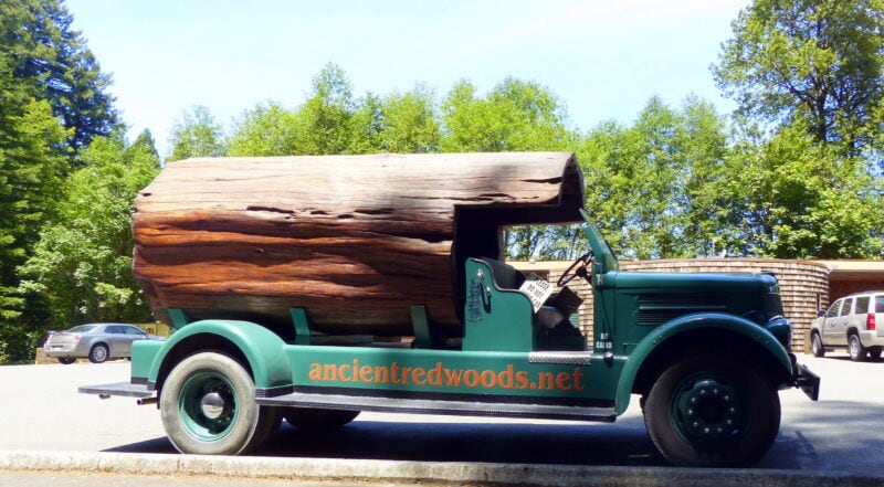 Car made with a redwood tree in California