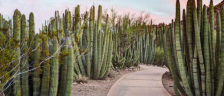 The best outdoor museums throughout Greater Phoenix