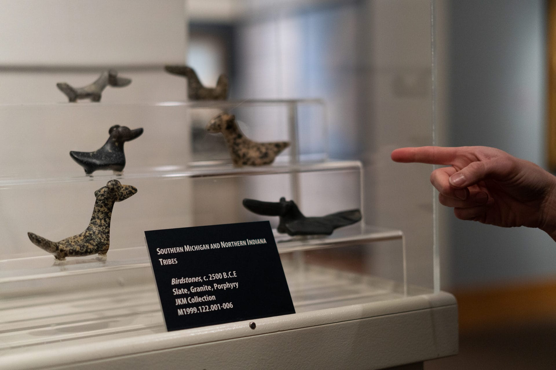 A hand points to a museum display of stone animal sculptures with a black and white explanation plaque