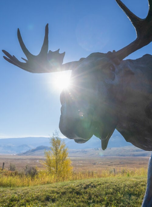 Finding conservation inspiration at Wyoming’s National Museum of Wildlife Art