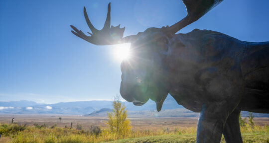 Finding conservation inspiration at Wyoming’s National Museum of Wildlife Art